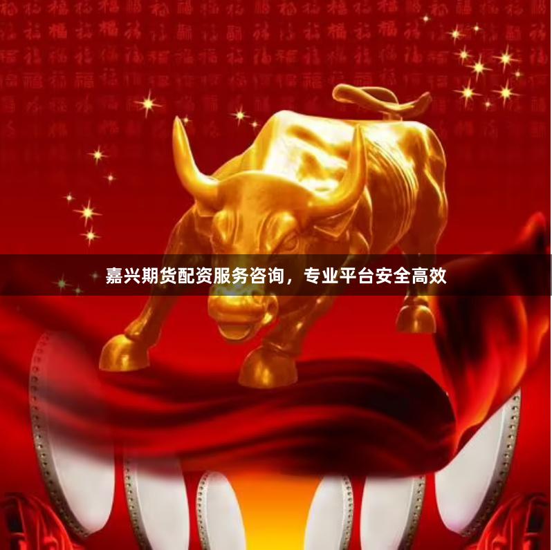 嘉兴期货配资服务咨询,专业平台安全高效