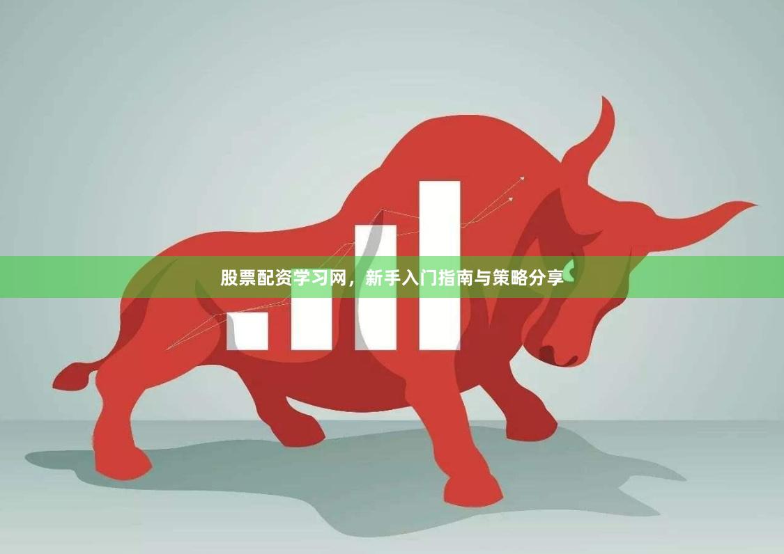 股票配资学习网，新手入门指南与策略分享